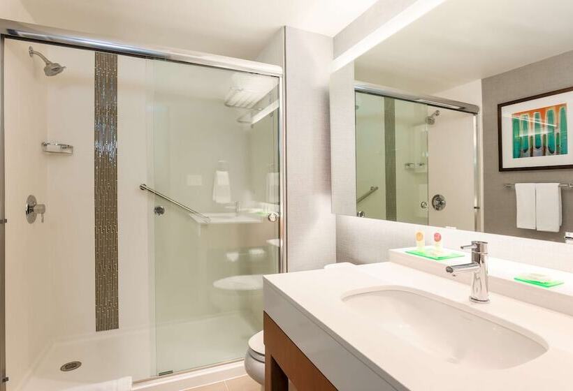 장애인을 위한 스탠다드 룸, Hyatt Place Austin Cedar Park