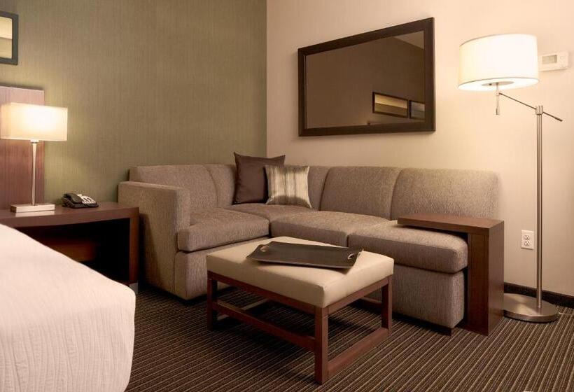 스위트 킹사이즈 침대, Hyatt Place Austin Cedar Park