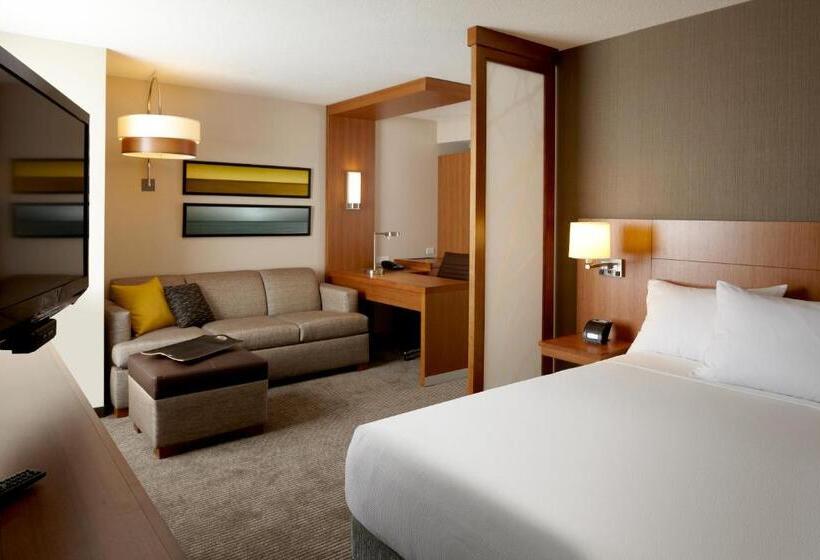 장애인을 위한 킹사이즈 침대 스탠다드 룸, Hyatt Place Austin Cedar Park