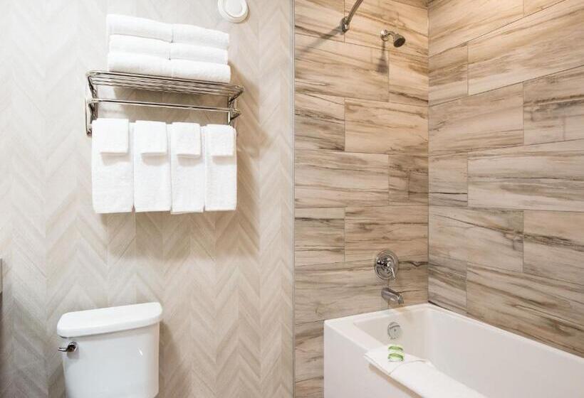 חדר דחוקס עם מיטת קינג, Pomeroy Inn & Suites Prince George