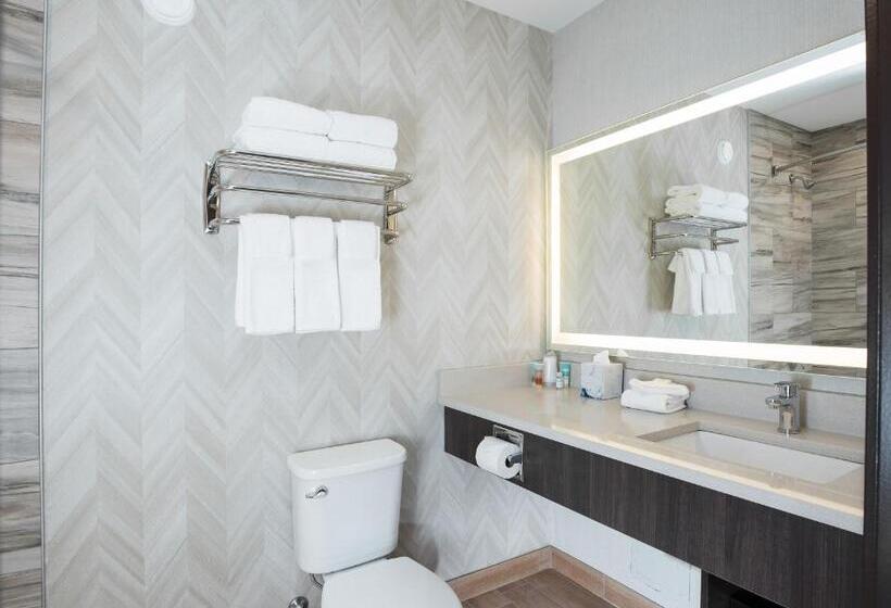 חדר דחוקס עם מיטת קינג, Pomeroy Inn & Suites Prince George