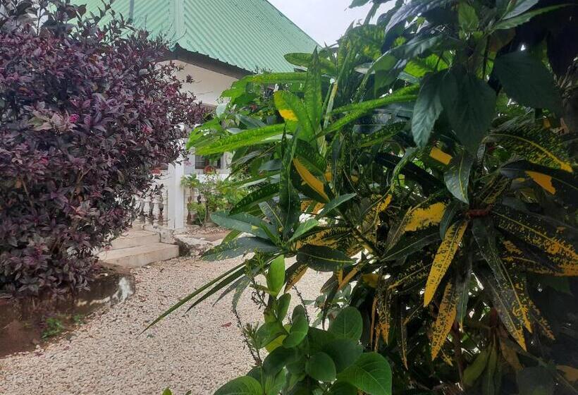 Номер Стандарт Трехместный, Amesbungalows