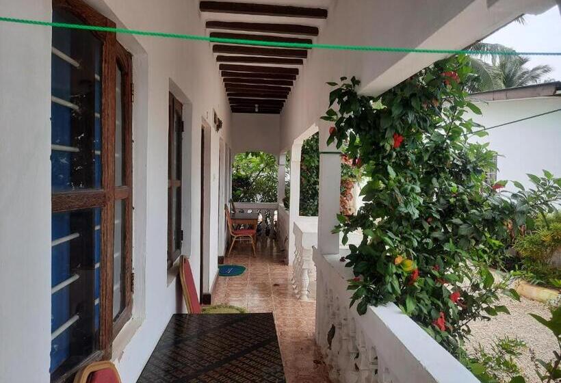 Номер Стандарт с Террасой, Amesbungalows