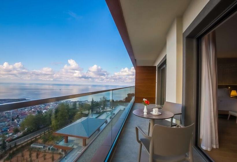 سوئیت با چشم‌انداز, Radisson Blu Hotel Trabzon