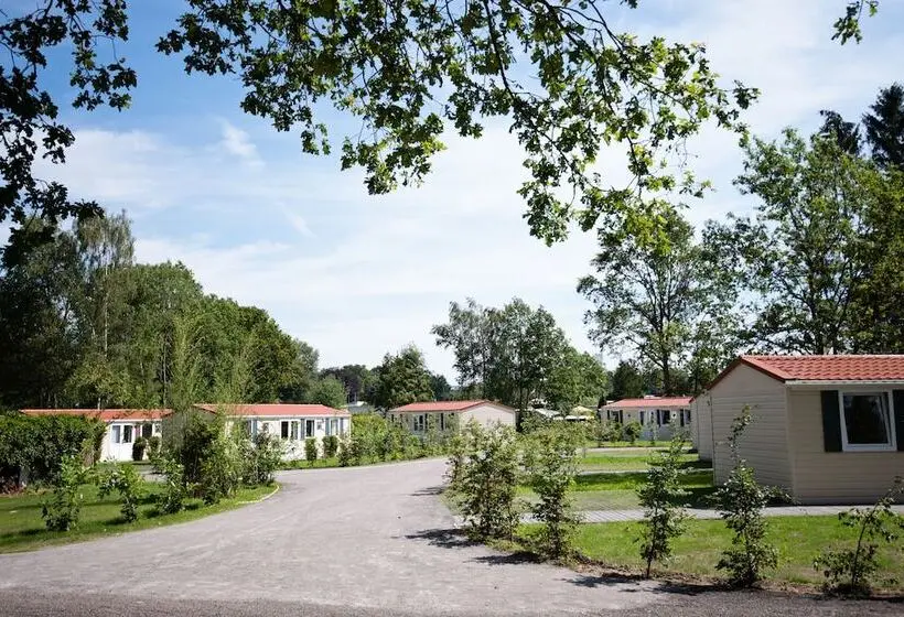 スタンダードシングルルーム, Ferienparadies Mühlenbach