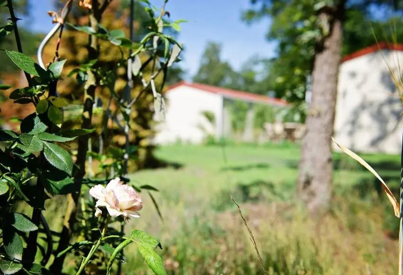 スタンダードバンガロー, Ferienparadies Mühlenbach