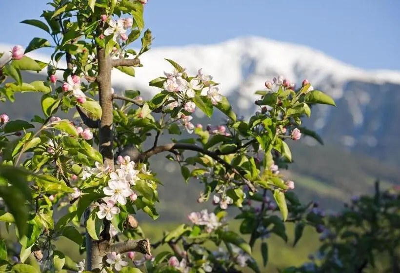 Standard Kolmen Hengen Huone, B&b Hotel Sonneck