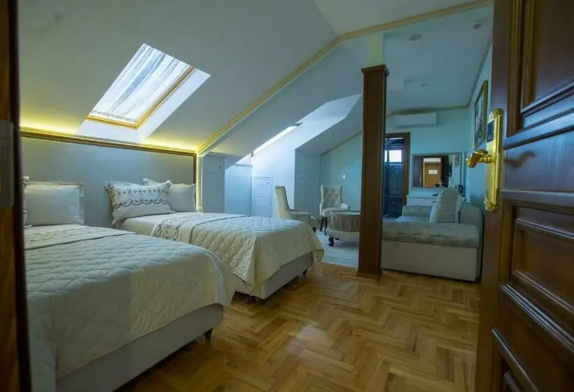 اتاق استاندارد, Robevski Luxury Rooms