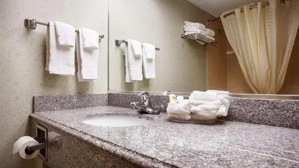 スタンダードルーム, Relax Inn Batavia