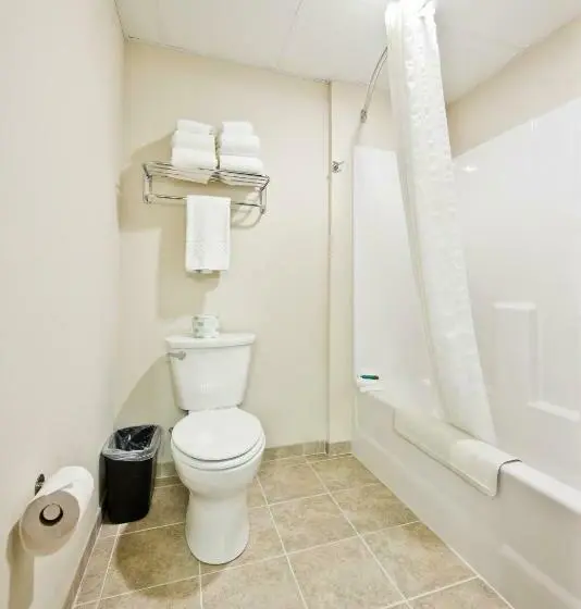 スタンダードルーム, Cobblestone Inn & Suites  Boone