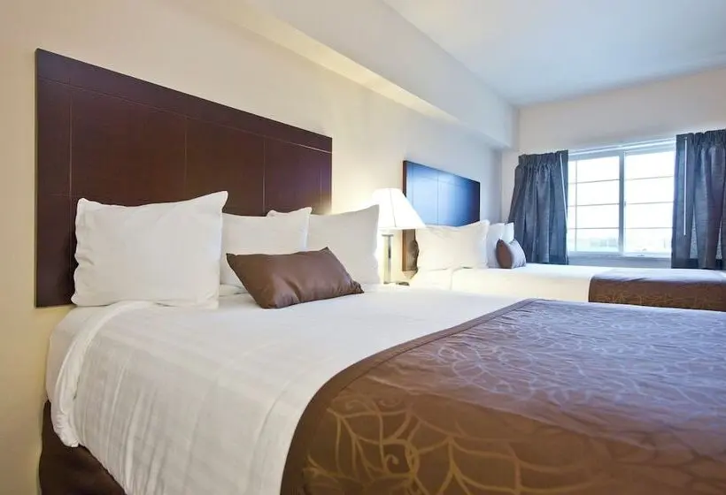 スイート（家族用）, Cobblestone Inn & Suites  Boone