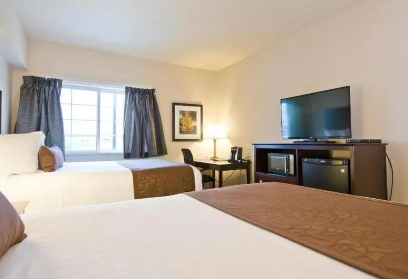 スタンダードルーム, Cobblestone Inn & Suites  Boone