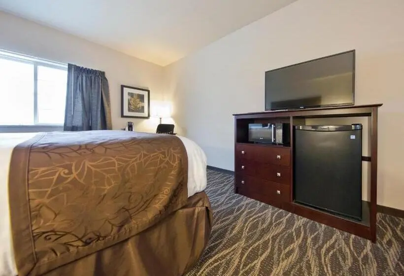 キングサイズベッドのスタンダードルーム, Cobblestone Inn & Suites  Boone