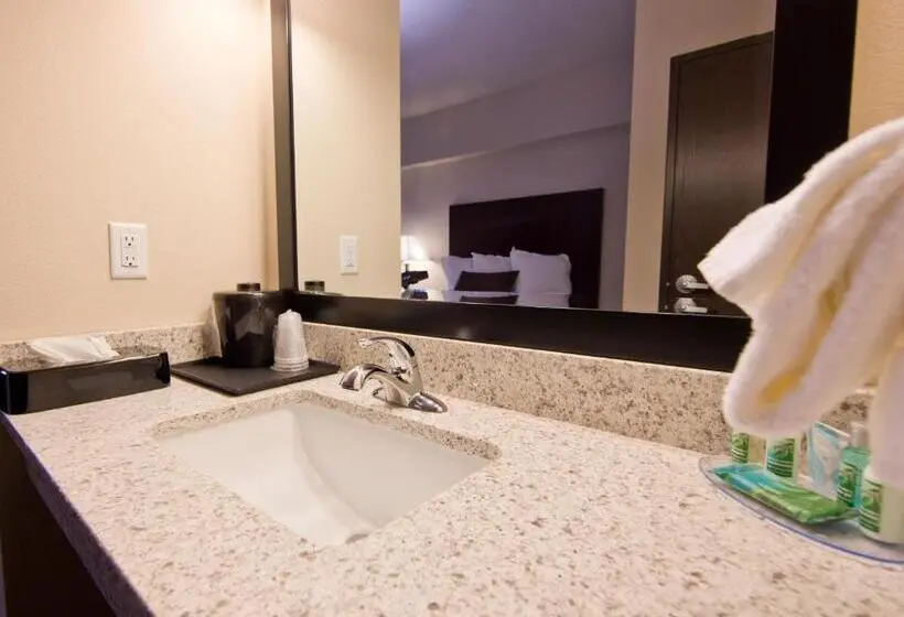 キングサイズベッドのスーペリアルーム, Cobblestone Inn & Suites  Boone