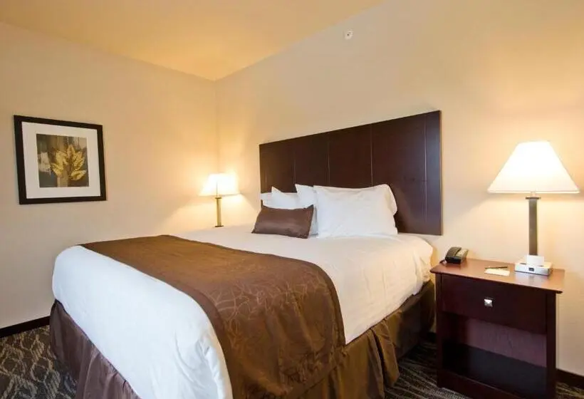 キングサイズベッドのスーペリアルーム, Cobblestone Inn & Suites  Boone