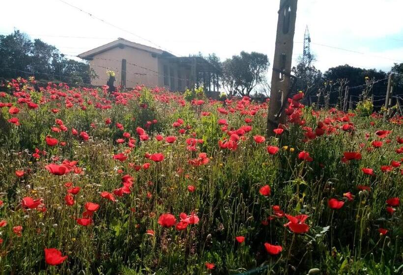 带1个卧室带花园景观的公寓, La Chiusa Di Rio