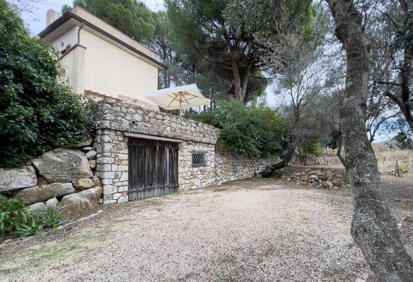 标准工作室, La Chiusa Di Rio