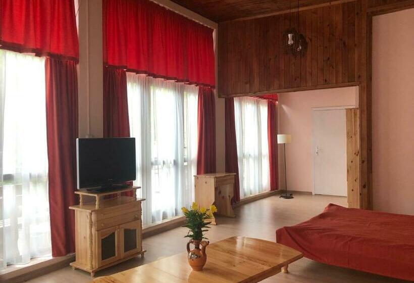 Полулюкс Вид на Горы, къща за гости кумовете