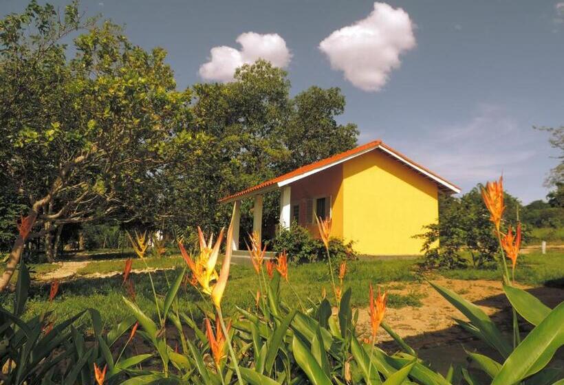 Шале Superior 1 Спальня, Pousada Recanto Da Mata