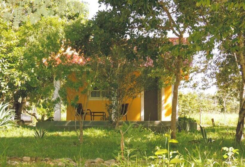 Дом 1 Спальня, Pousada Recanto Da Mata