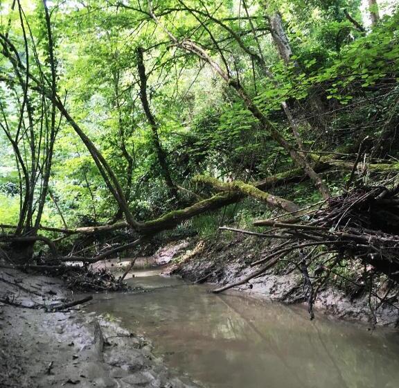 디럭스 룸, Pizzicalaluna