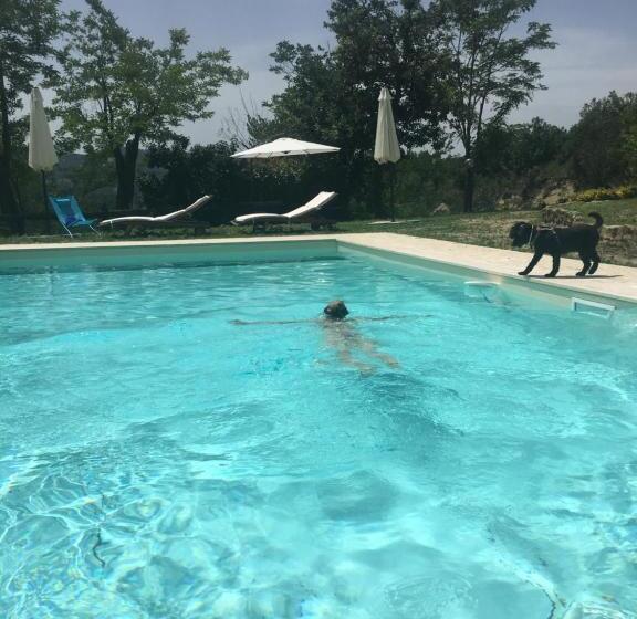 주니어 스위트 발코니, Pizzicalaluna