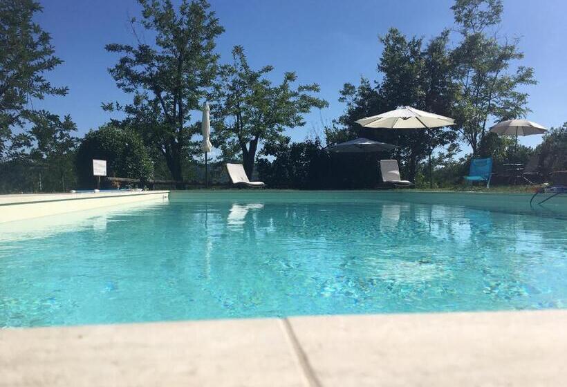 디럭스 룸, Pizzicalaluna