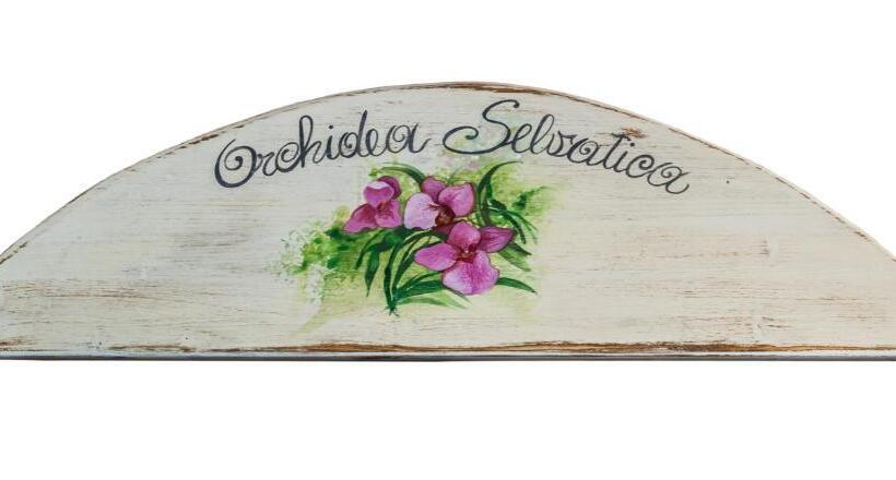 디럭스 룸, Pizzicalaluna