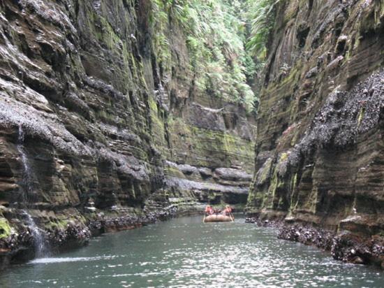 빌라 1 베드룸 - 수영장, Island Villas Pacific Harbour