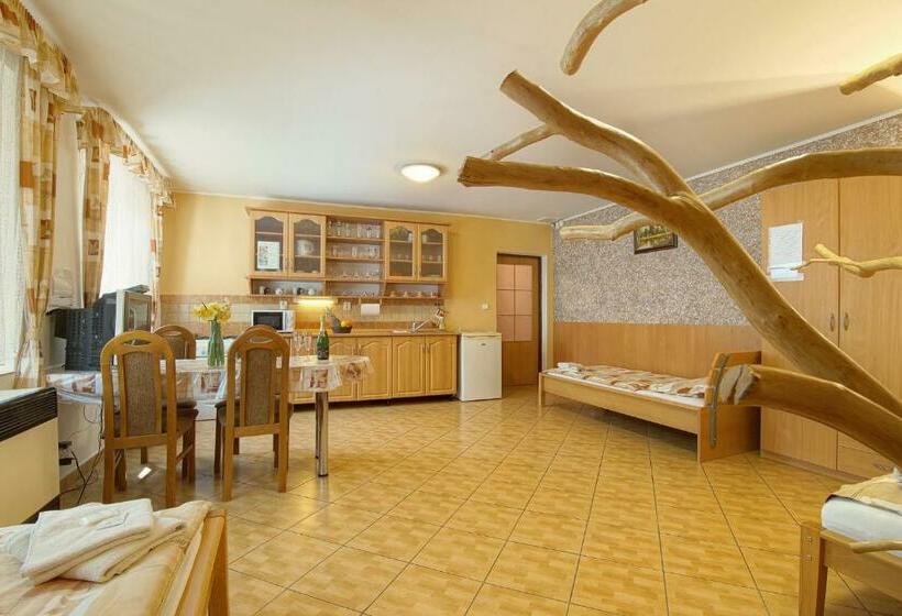 经济四人间 - 带共用浴室, Penzion U Paroháče