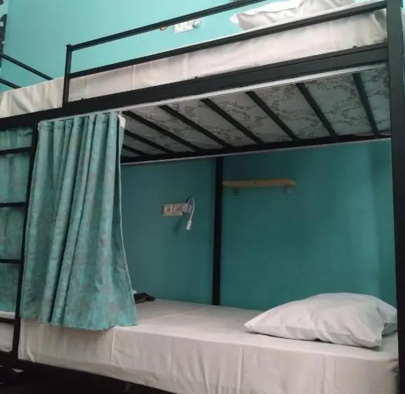 تختخواب در اتاق مشترک, Moosica Hostel