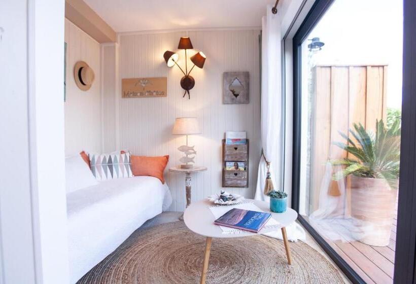 带花园景观的标准工作室, Villa Chaleemar