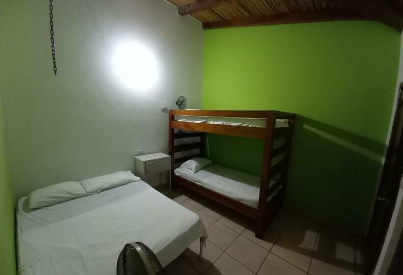 اتاق استاندارد چهار تخته, Oasis Hostel