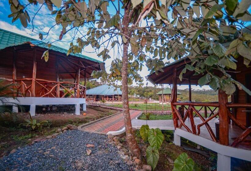 Полулюкс Повышенной Комфортности, Hosteria Orkidea Lodge