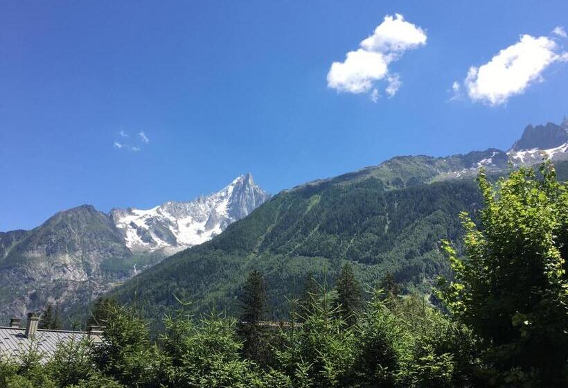 Апартаменты 1 Спальня, Appart Hotel Aiguille Verte & Spa