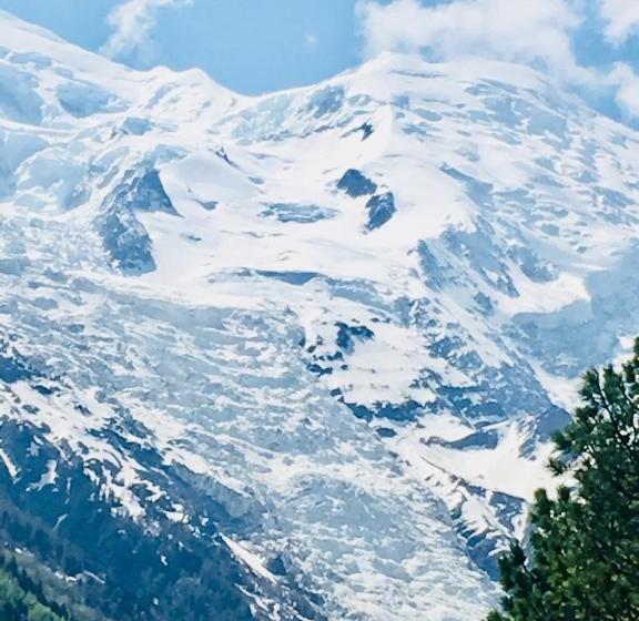 Апартаменты 3 Спальни, Appart Hotel Aiguille Verte & Spa