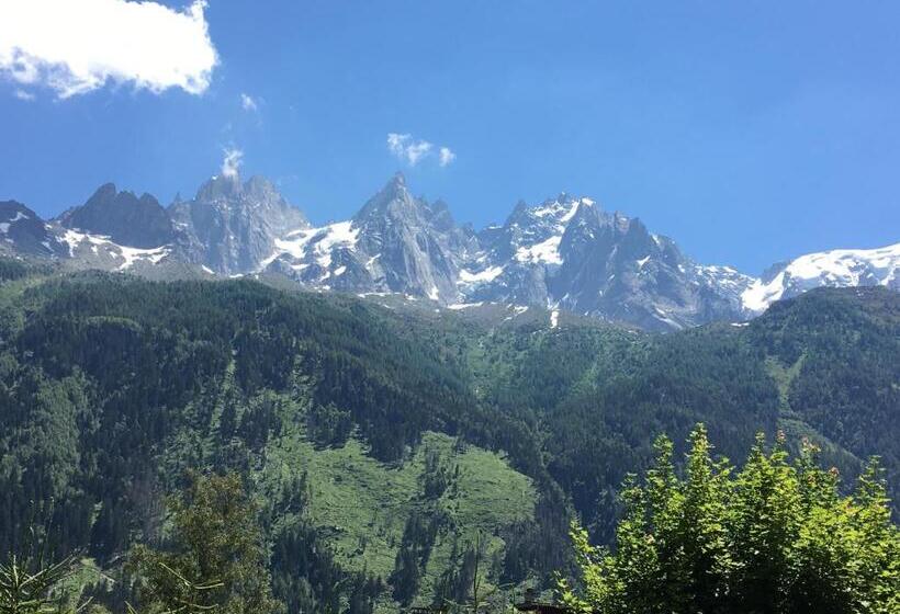 Апартаменты 1 Спальня, Appart Hotel Aiguille Verte & Spa