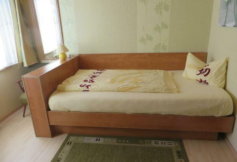 스탠다드 싱글 룸, Pension Zur Quelle