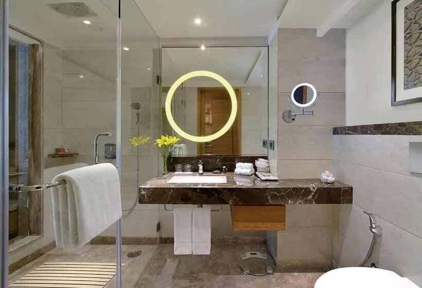 Suite, Radisson Gwalior