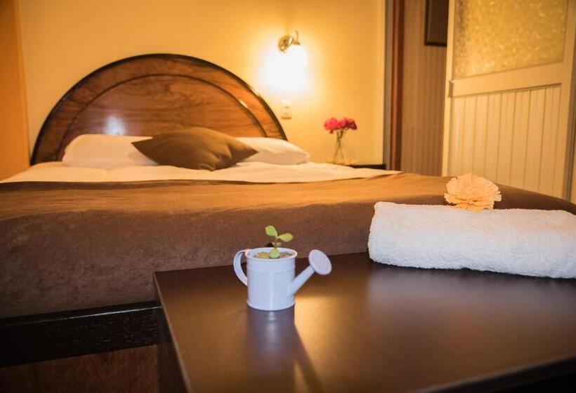 اتاق لوکس, Hostal Milagros Inn   Samary Inn