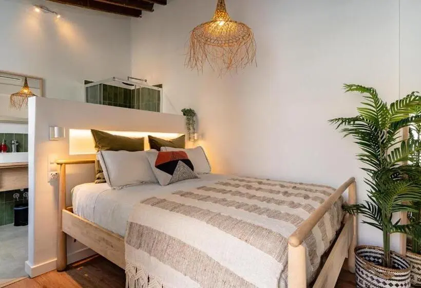 اتاق سوپریور, The Urban Jungle Hostel