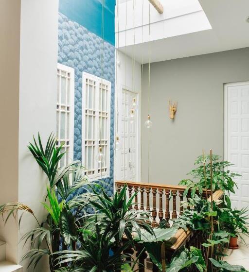 تختخواب در اتاق مشترک, The Urban Jungle Hostel