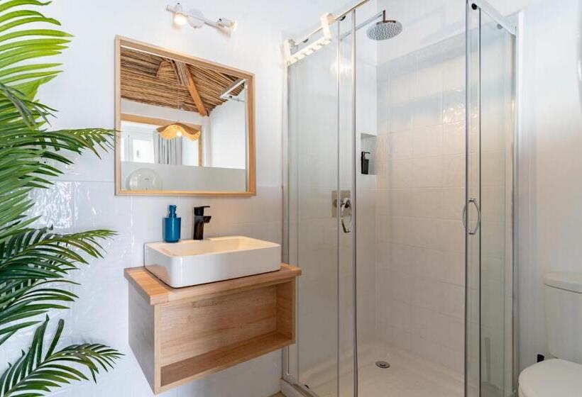 اتاق استاندارد, The Urban Jungle Hostel