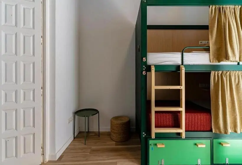 اتاق خانوادگی, The Urban Jungle Hostel