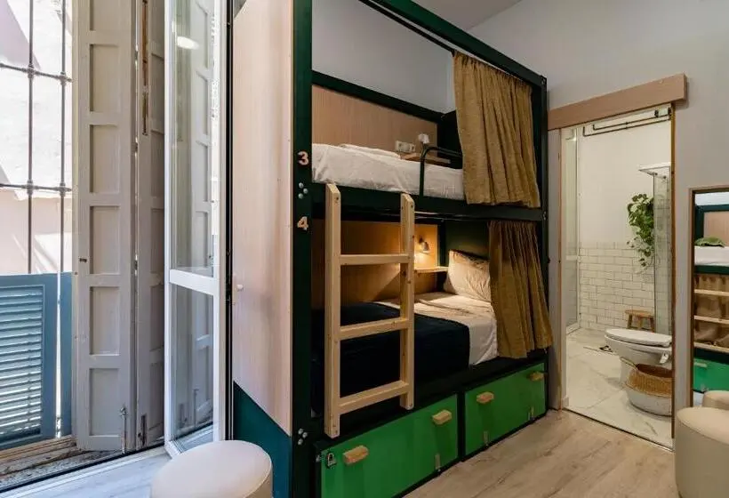 اتاق خانوادگی, The Urban Jungle Hostel