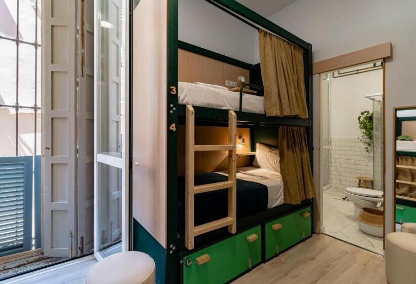 اتاق لوکس چهار تخته, The Urban Jungle Hostel