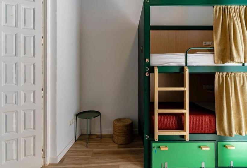 اتاق لوکس چهار تخته, The Urban Jungle Hostel