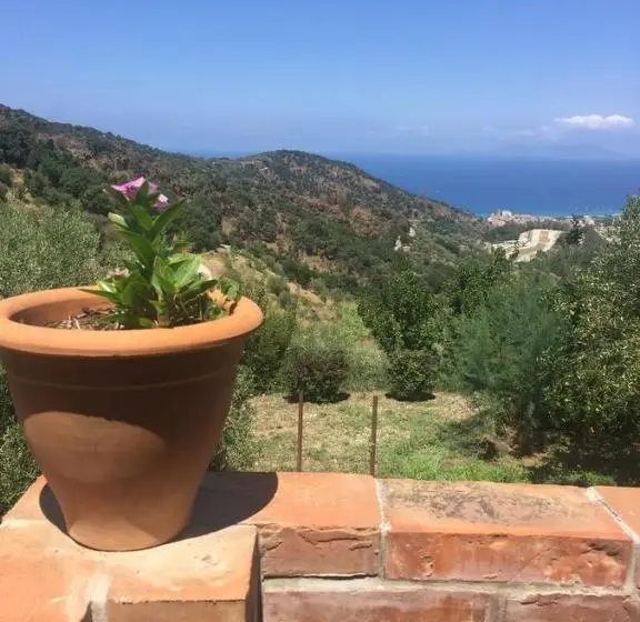 Standard Neljän Hengen Huone, Agriturismo Fattoria Di Grenne