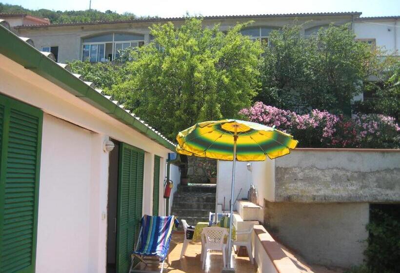 דירת משפחה, Mandel Club