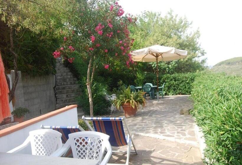 דירת משפחה, Mandel Club